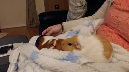 IMG_1315.webp