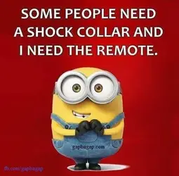 6a28b010249860cef0b7713997401e81--hilarious-minion-memes-minon-memes.webp