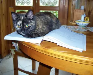 101_5580.webp