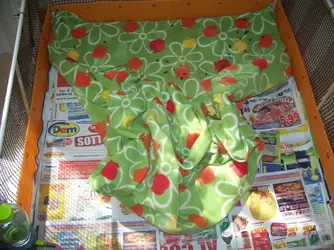 100_6943 (2).webp 100_6943 (2).webp