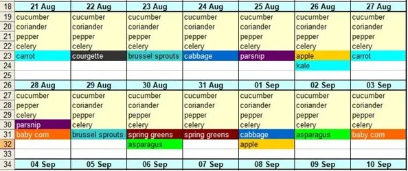 feeding schedule.webp