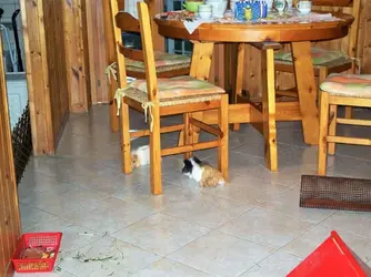 100_6478_LI (3).webp 100_6478_LI (3).webp