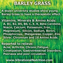 a7cfa25d1088a5d57cd7b13497b35fb2--barley-grass-juice.webp