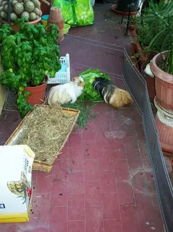 100_7454.webp 100_7454.webp