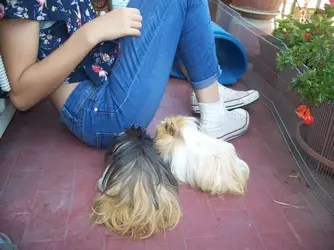 100_7444.webp 100_7444.webp