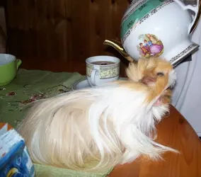 100_7352 (2).webp 100_7352 (2).webp