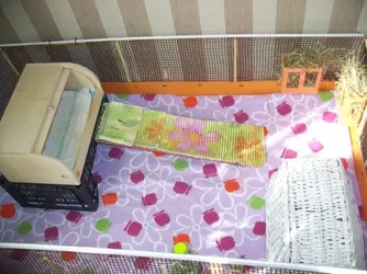 100_6974.webp 100_6974.webp
