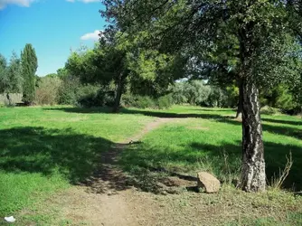 100_7566.webp 100_7566.webp