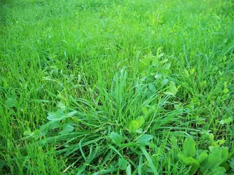 100_7567.webp