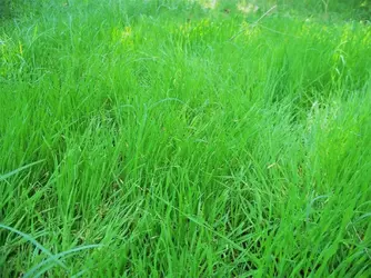 100_7570.webp 100_7570.webp