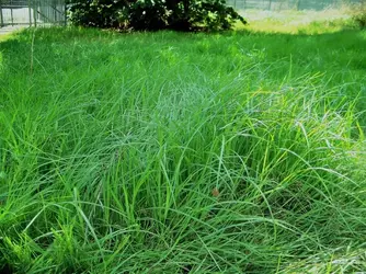 100_7573.webp 100_7573.webp