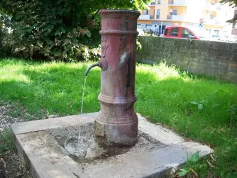 100_7579.webp