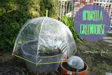 Umbrella-Greenhouse-2.webp