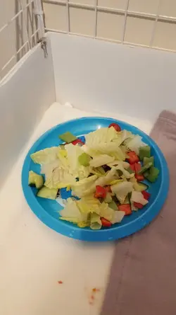 1507098954660326690982.webp