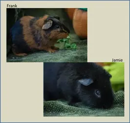 Frank and Jamie.webp