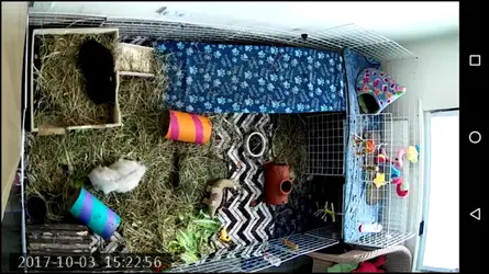 Screenshot_20171003-152258.webp