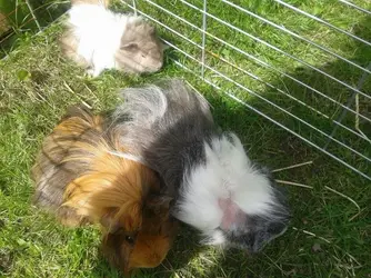 mammy and baby.webp