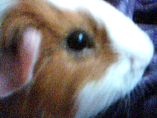Picture 118.webp