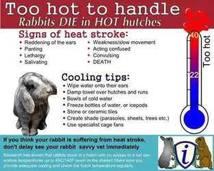 heat.webp