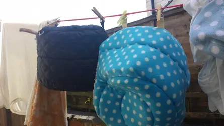 20140617_115439.webp