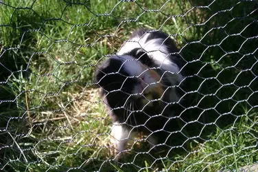 2013-04-16 16.42.07.webp