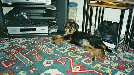 image.webp image.webp