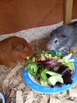 2014-06-25 12.14.01.webp