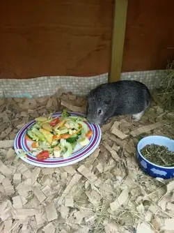 2014-06-26 11.24.04.webp