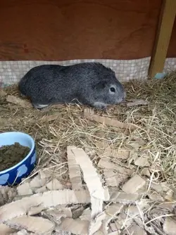 2014-06-25 12.09.08.webp