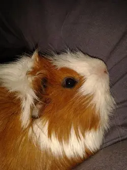 2014-06-27 21.12.24.webp