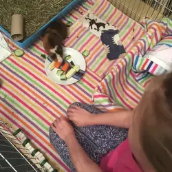 IMG_1669 2.webp IMG_1669 2.webp