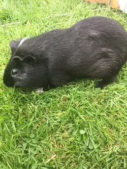 038BBC55-1486-4AC2-8BBB-23D04F73BE3F.webp