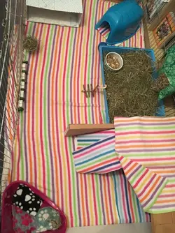 IMG_0330 2.webp IMG_0330 2.webp