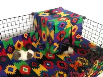 CozyCurtain-Pueblo-450x338.webp