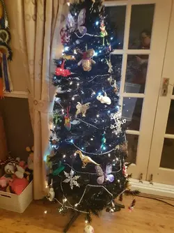 WhatsApp Image 2017-12-03 at 16.44.00(1).webp