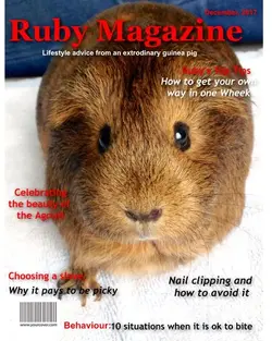 Order-9101-Ruby.webp