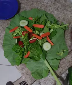 comida da porca.webp comida da porca.webp