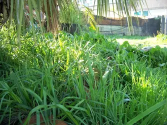 100_8145.webp