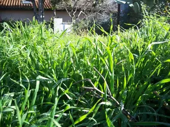 100_8177.webp
