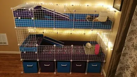 Cage idea 7.webp