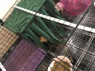 1DA4C315-DC24-4B2F-9CB1-D01E7BFC4D56.webp