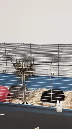 IMG-20180117-WA0004.webp