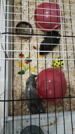 IMG-20180126-WA0000.webp