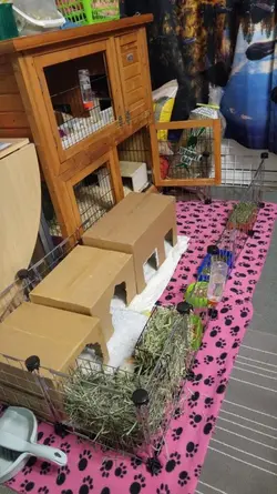 20180201_213317_HDR.webp