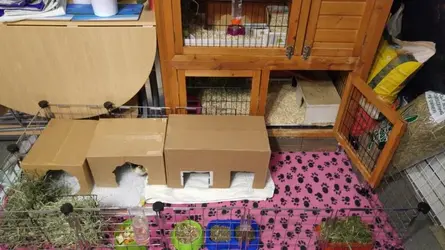 20180201_213338_HDR.webp