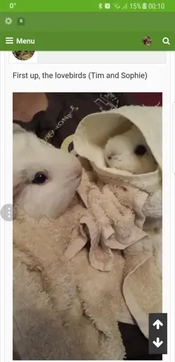Screenshot_20180210-001042.webp