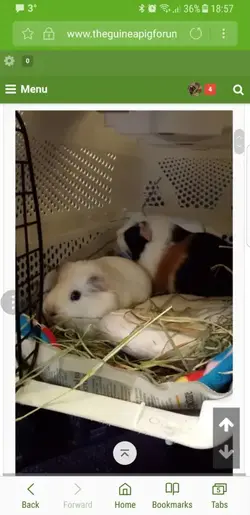 Screenshot_20180209-185713.webp