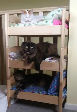 ikea-duktig-bed-hack-cat-bed-16.webp