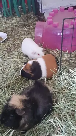 41C07E99-C320-4785-808F-3132FB4C6291.webp