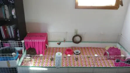 IMG_20180316_150210.webp